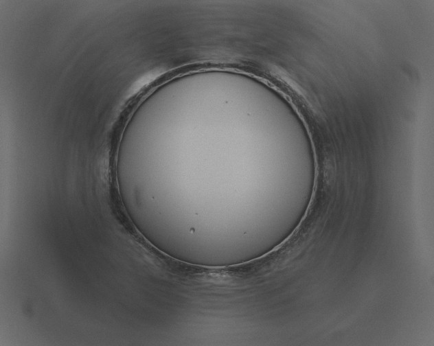 X0000116611315200912241725