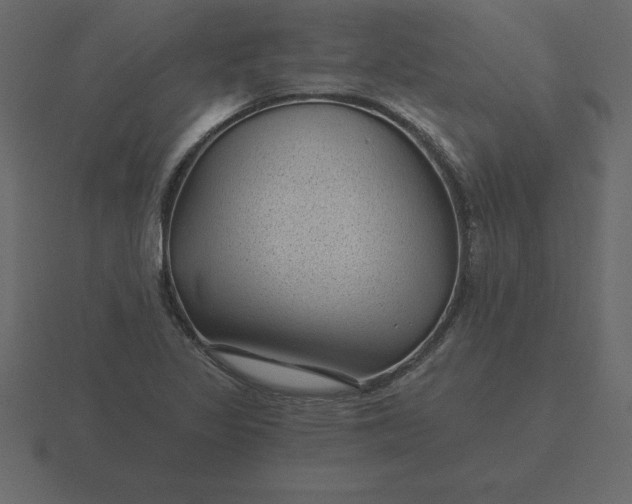 X0000116611317200912241725