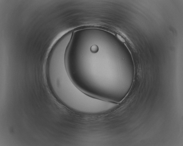 X0000116611323200912241726