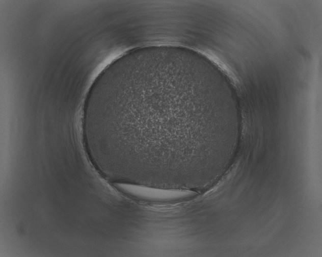 X0000116611325200912241726