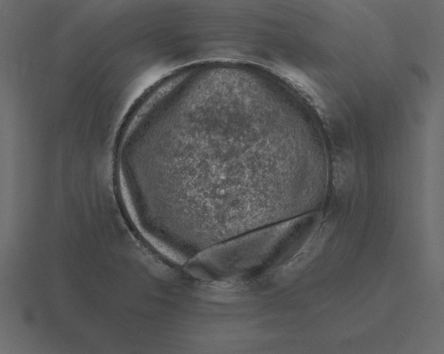 X0000116611326200912241726