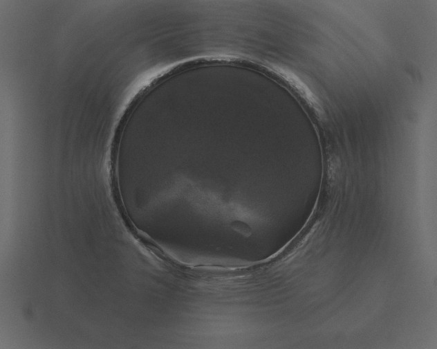 X0000116611327200912241726