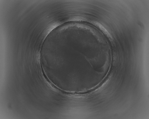 X0000116611329200912241726