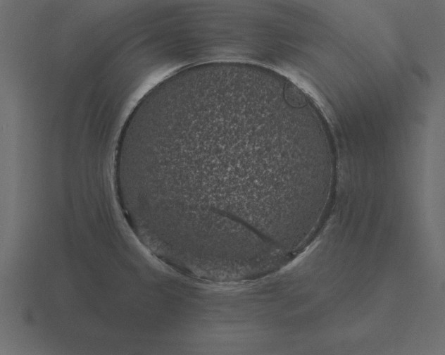 X0000116611333200912241726