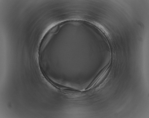 X0000116611334200912241726