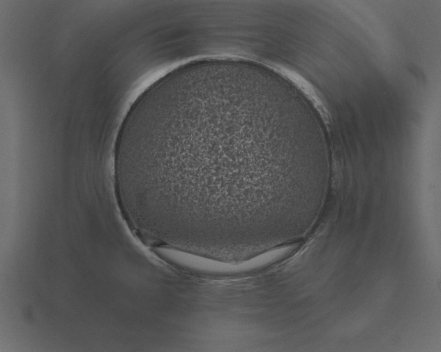 X0000116611335200912241726