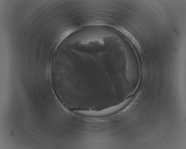 X0000116611337200912241726