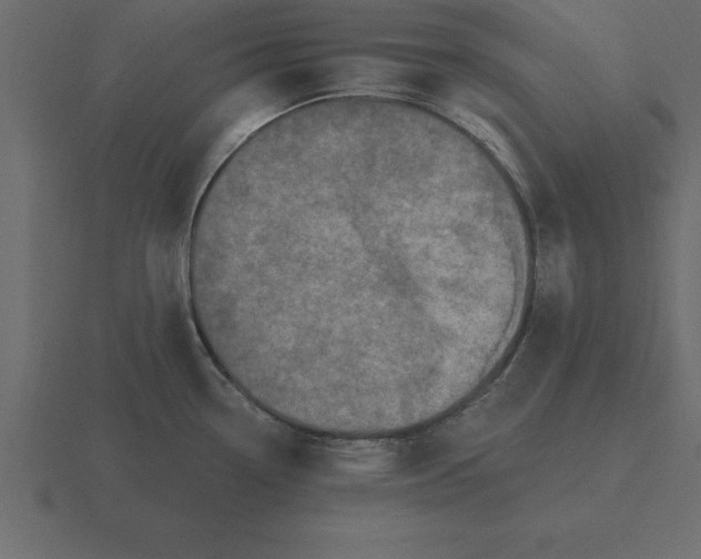 X0000116611338200912241726