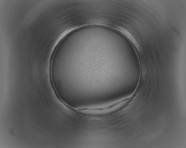 X0000116611339200912241726