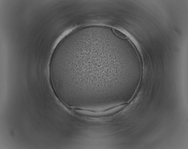 X0000116611341200912241726