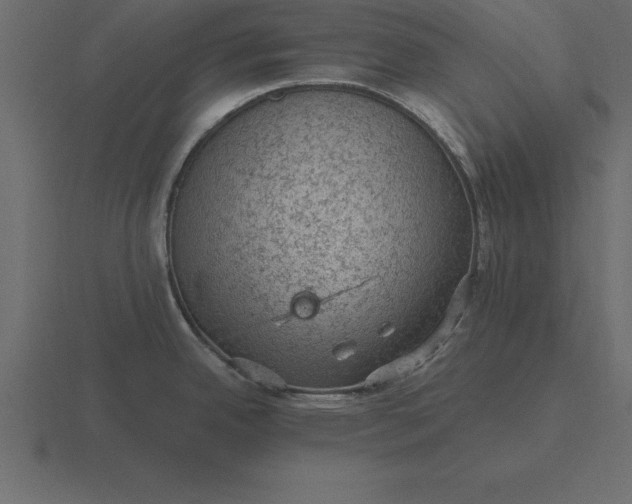 X0000116611342200912241726