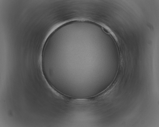 X0000116611343200912241726