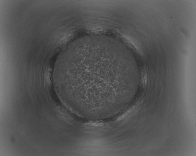 X0000116611346200912241725