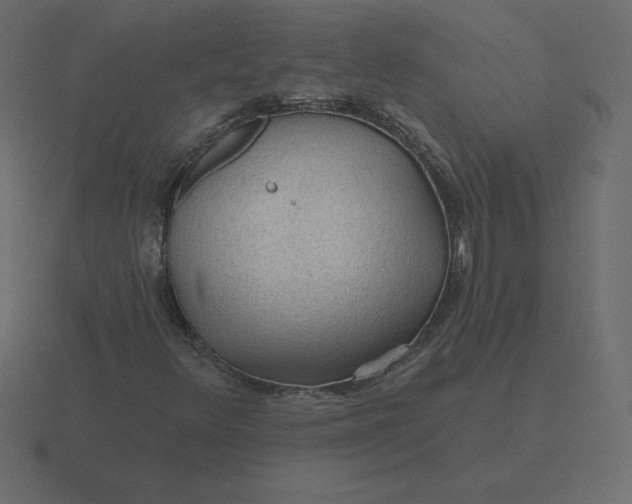 X0000116611348200912241725