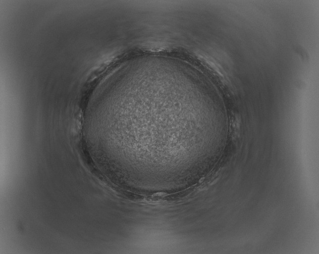 X0000116611349200912241725