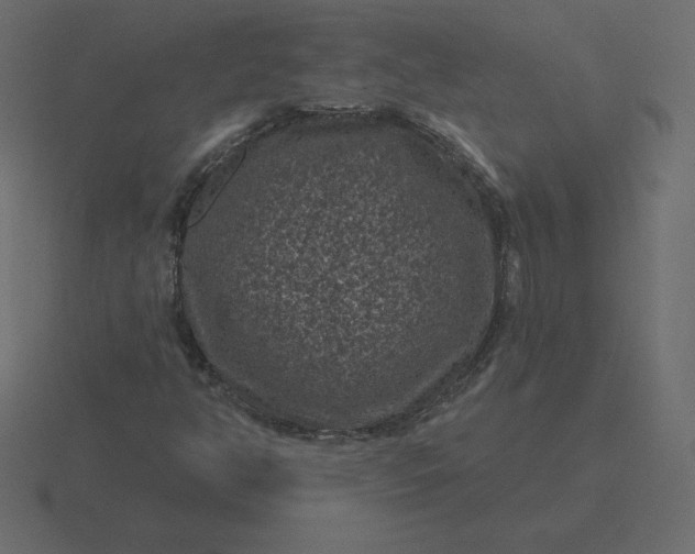 X0000116611350200912241725