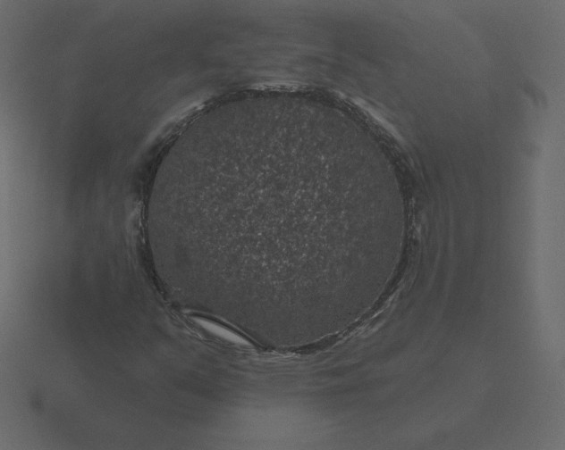 X0000116611351200912241725