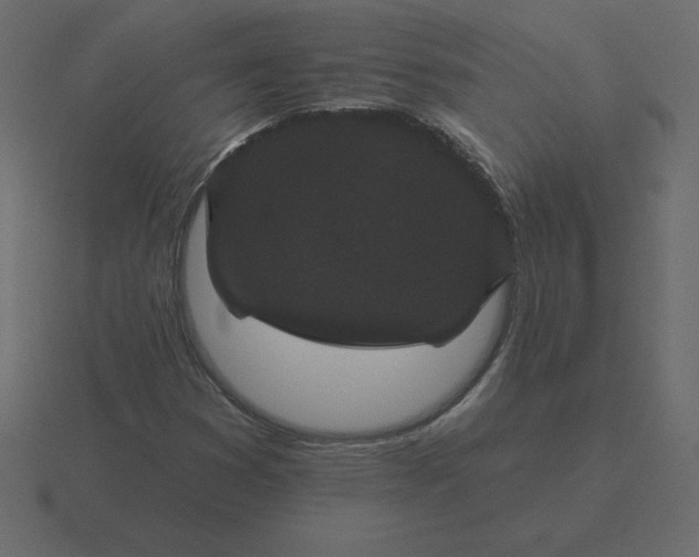 X0000116611353200912241725