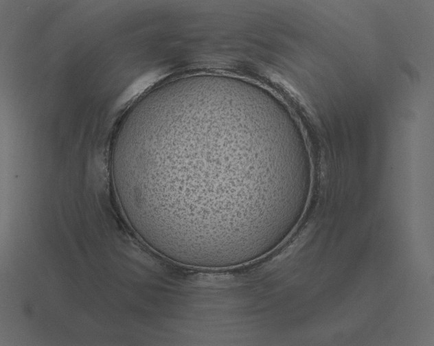 X0000116611354200912241725