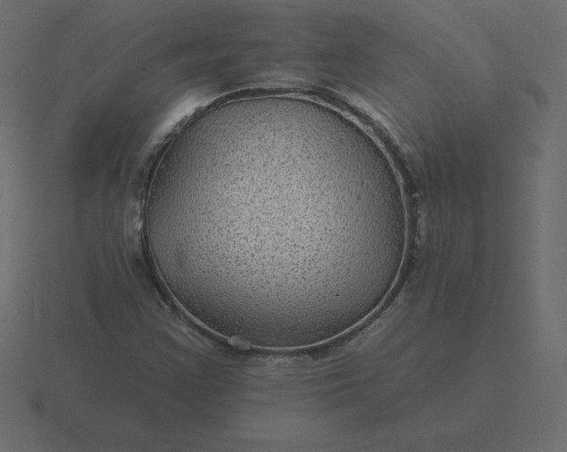 X0000116611355200912241725