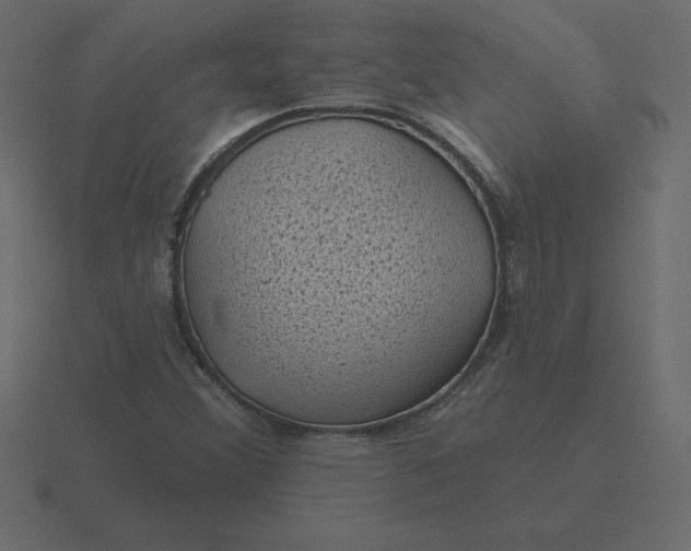 X0000116611356200912241725