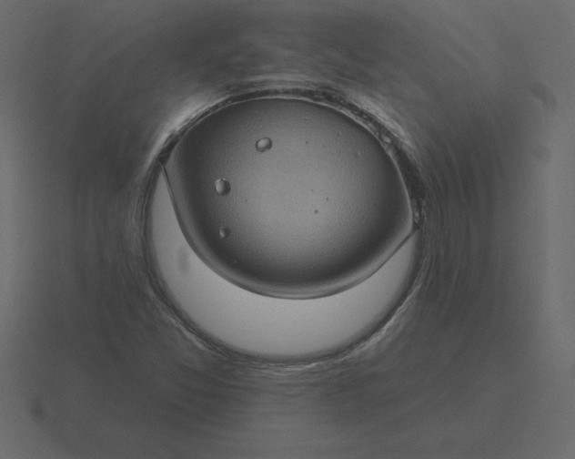 X0000116611357200912241725