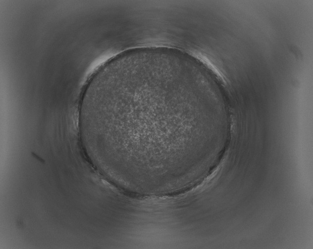 X0000116611358200912241725