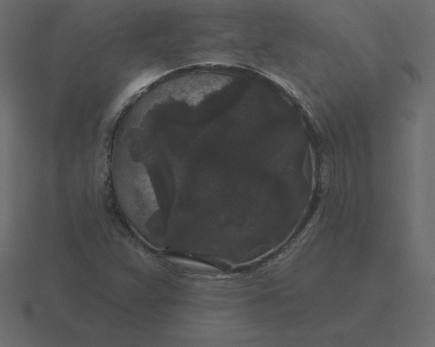 X0000116611359200912241725