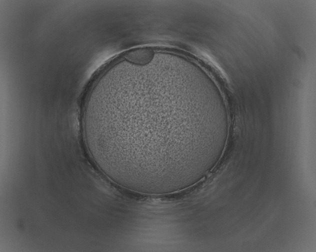 X0000116611360200912241725