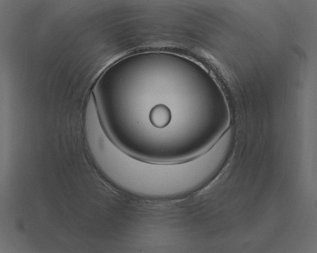 X0000116611361200912241725