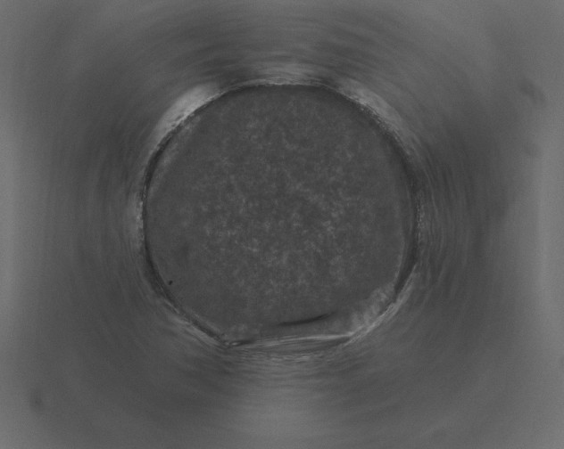 X0000116611362200912241725