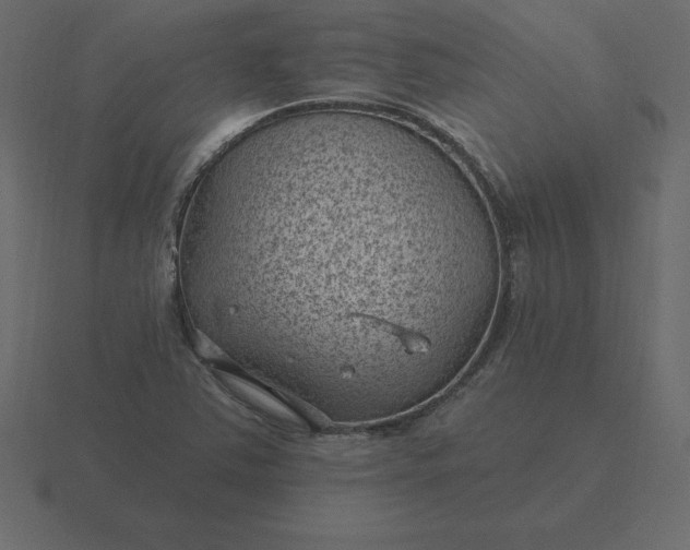 X0000116611363200912241725