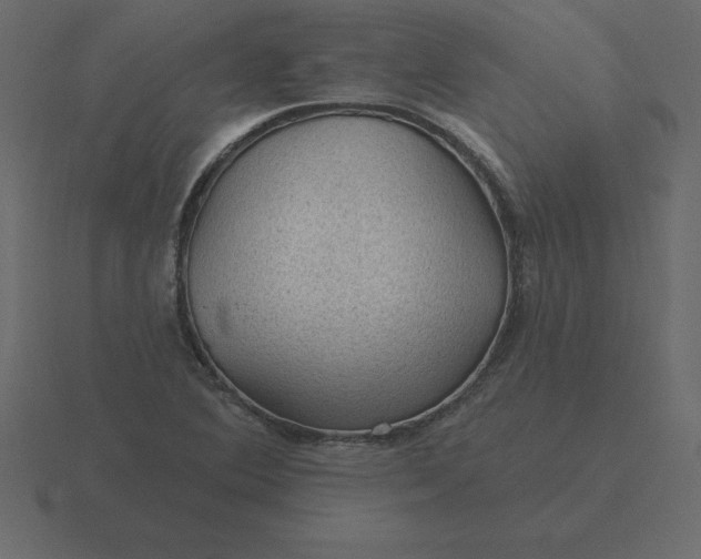 X0000116611364200912241725