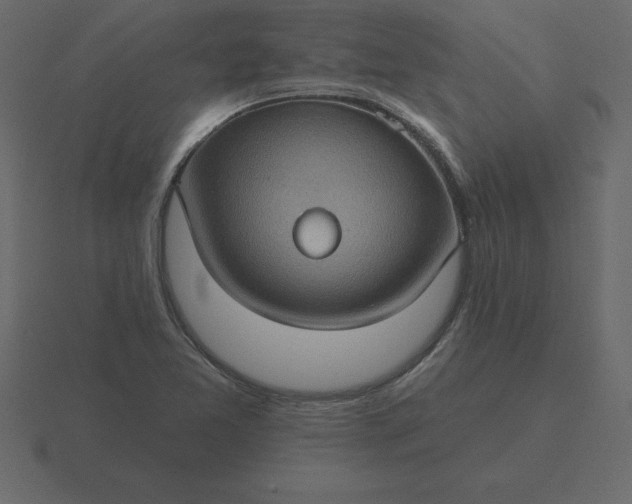 X0000116611365200912241725