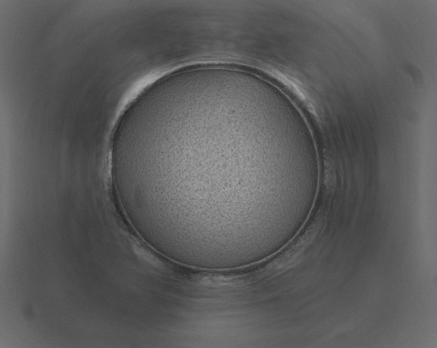 X0000116611366200912241725