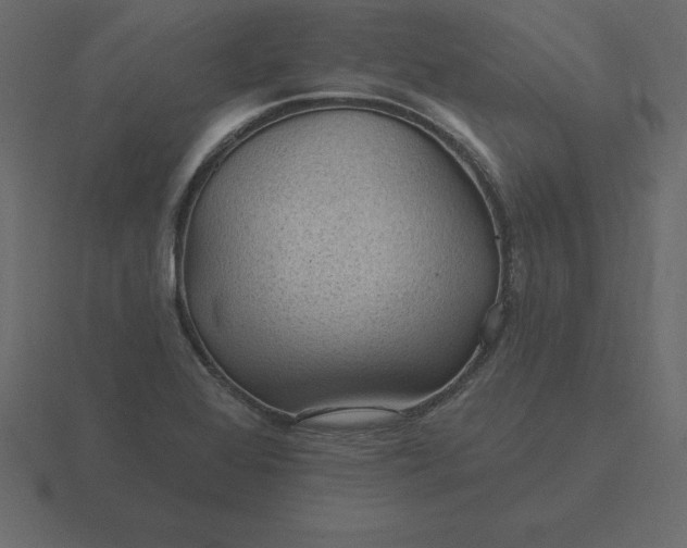 X0000116611368200912241725