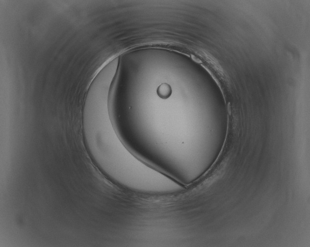 X0000116611369200912241725