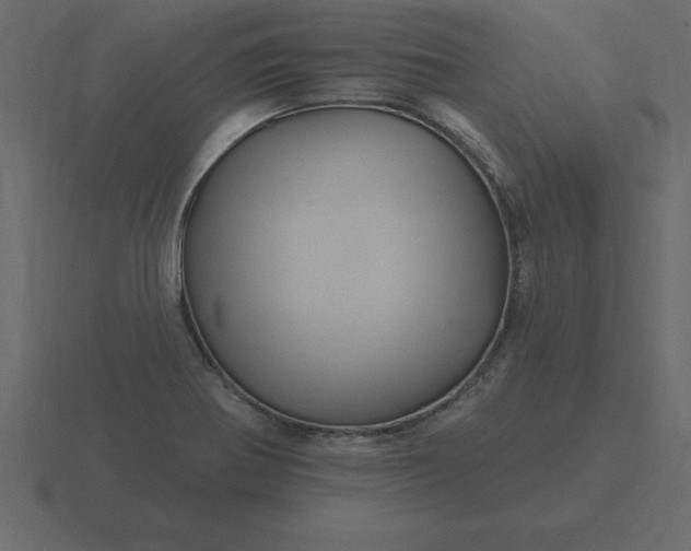 X0000116611370200912241725