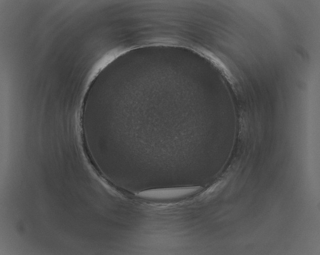 X0000116611373200912241725