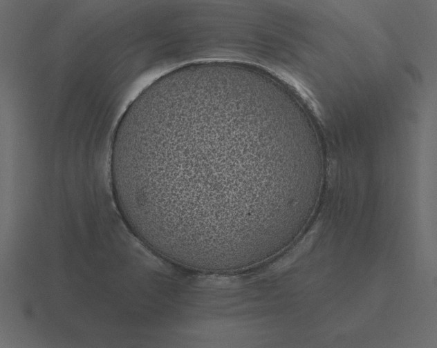 X0000116611374200912241725