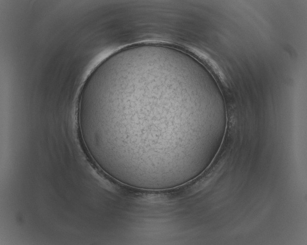 X0000116611375200912241725