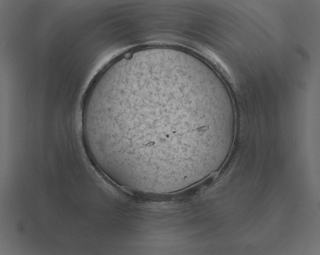 X0000116611376200912241725