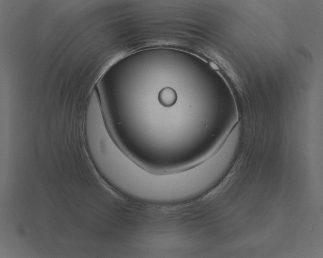 X0000116611377200912241725