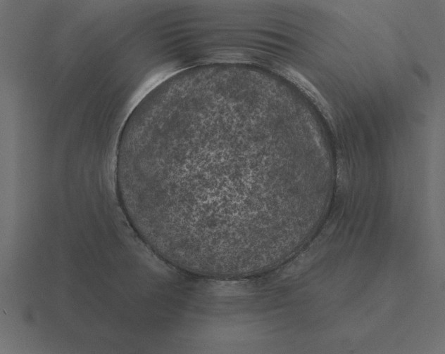 X0000116611378200912241725