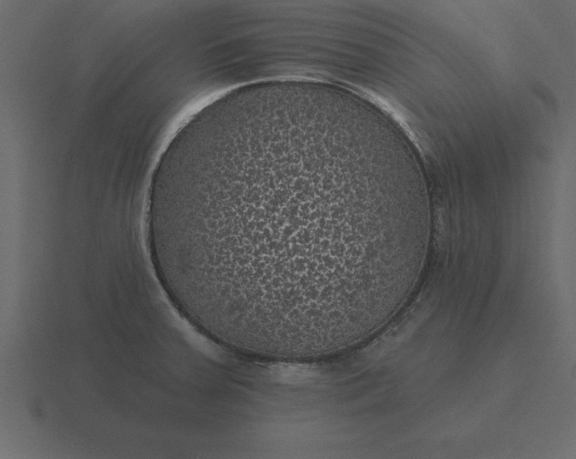 X0000116611379200912241725