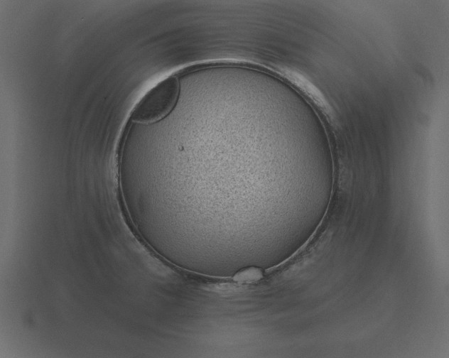 X0000116611380200912241725