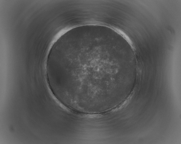 X0000116611381200912241725