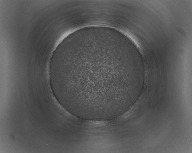 X0000116611382200912241725