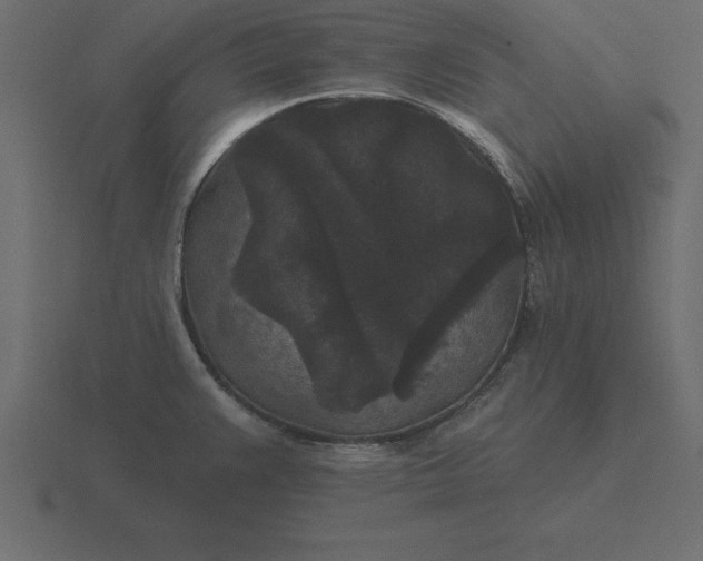 X0000116611383200912241725