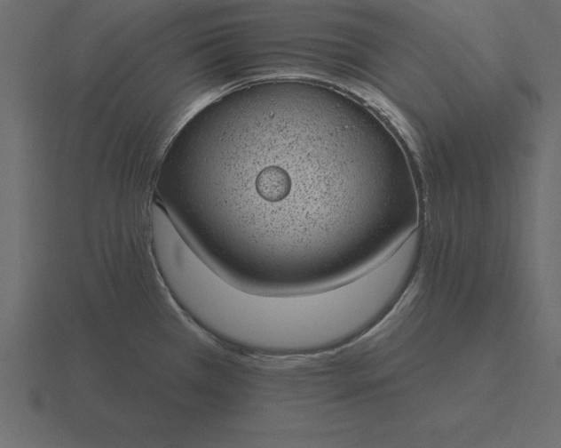 X0000116611385200912241725